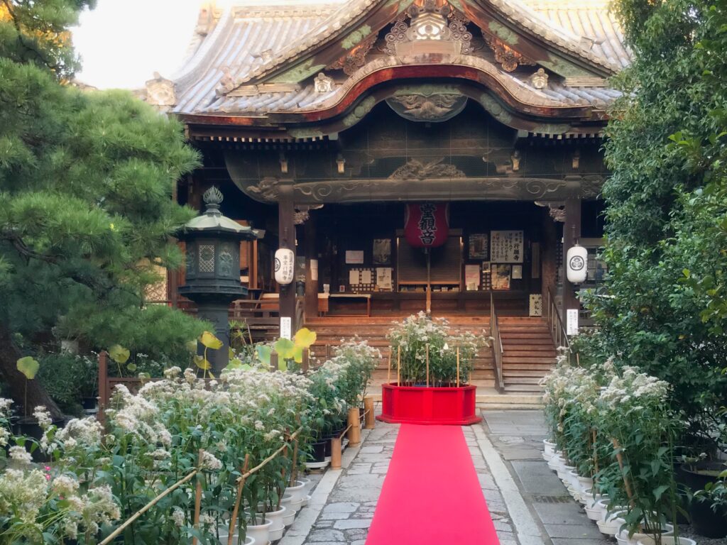 革堂行願寺での藤袴祭写真