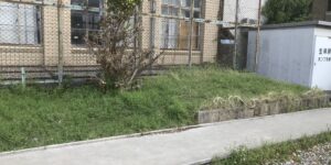 元生祥小学校の写真