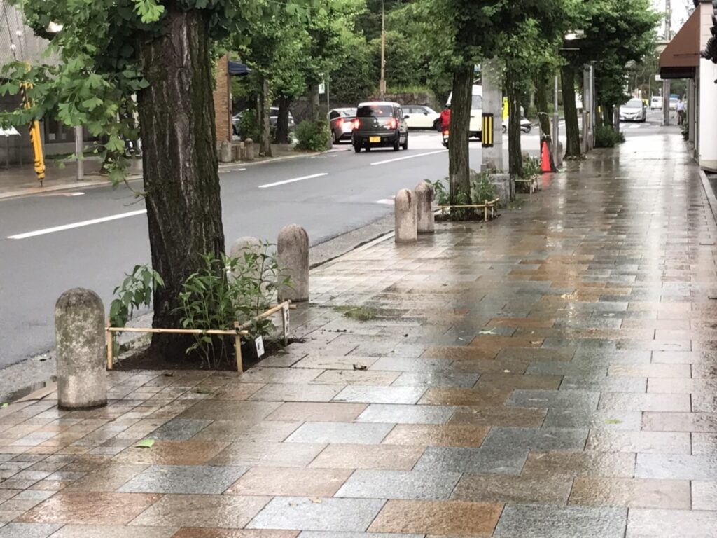 藤袴を植えた街路樹のある寺町通りの写真