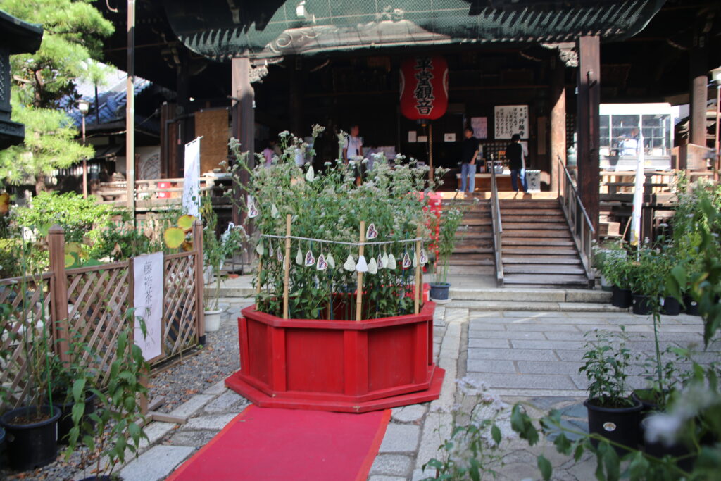 令和７年藤袴祭