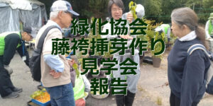藤袴挿芽作り見学会